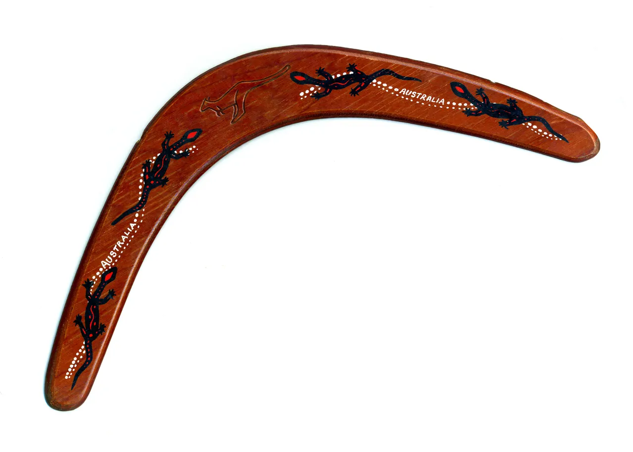 boomerang 1415895 | Koučování k úspěchu